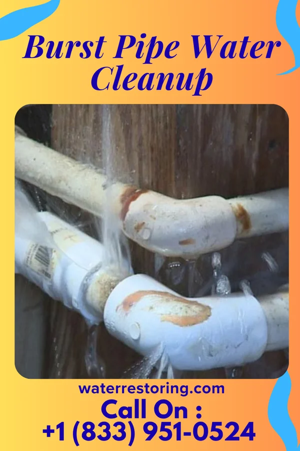 Burst Pipe Water Cleanup in Burton, OH