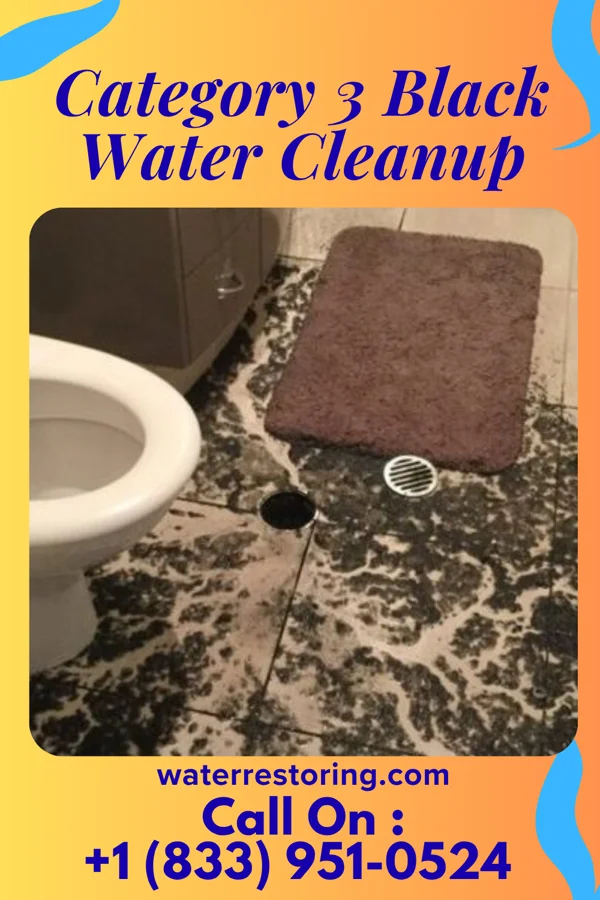 Category 3 Black Water Cleanup in Burton, OH