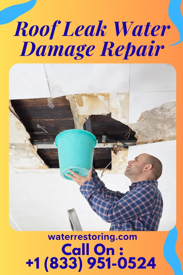 Roof Leak Water Damage Repair in Burton, OH