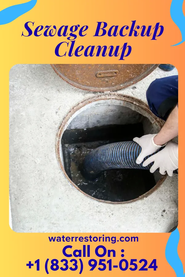 Sewage Backup Cleanup in Burton, OH