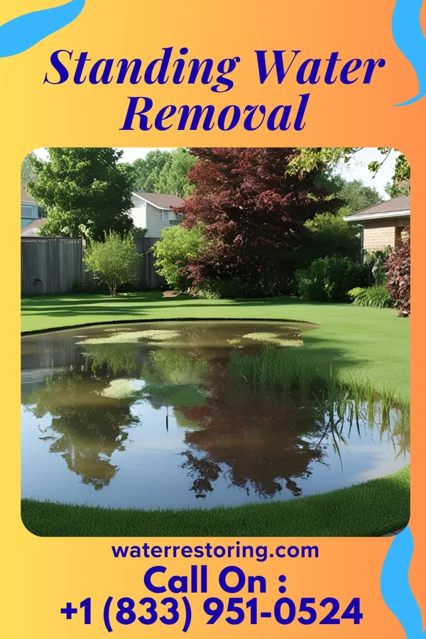 Standing Water Removal in Burton, OH